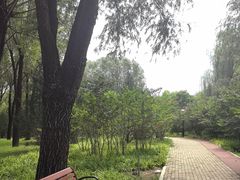 -坝河休闲公园