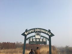 -溱湖国家湿地公园