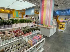 -KKV(常州新北万达广场店)