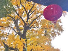 -无锡惠山寺