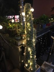 -匿名者纹身学院派·刺青