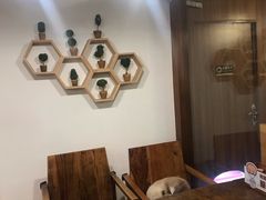 -喵园·猫主题咖啡厅·撸猫·猫咖(国贸店)