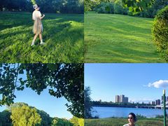 -长白岛森林公园