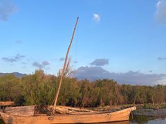 -洱海月湿地公园