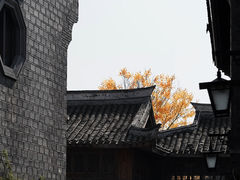 -紫阳古街