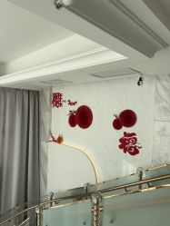 -小梨·OndaPro·专业脱毛连锁机构