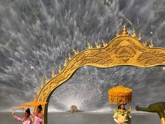 -西双版纳原始森林公园