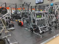 -健身专家Wellness Experts