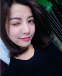 -大象造型