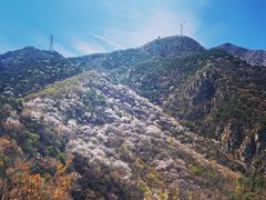 -北京鹫峰国家森林公园