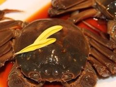 iphone_upload_pic-顺风山庄(水濂山店)