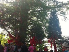 2-武当山风景区