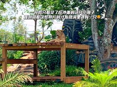 -海南热带野生动植物园