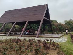-上海滨江森林公园