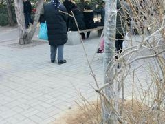 -洛阳市牡丹公园