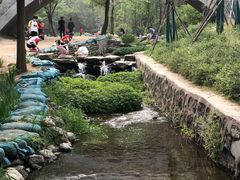 -白水寺森林公园