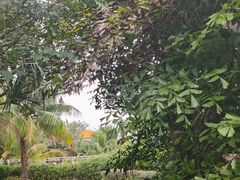 -白沙门生态公园