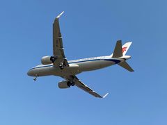 -空港花田景区