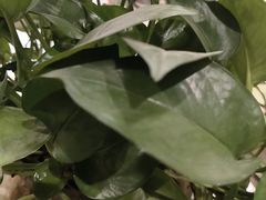 -金百万(亦庄店)