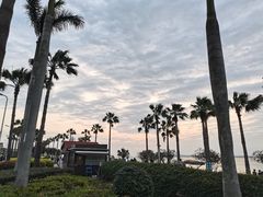 -椰风寨