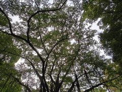 -晓港公园