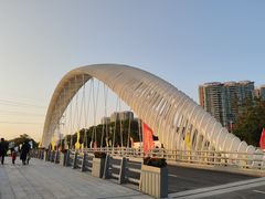 -福田红树林生态公园