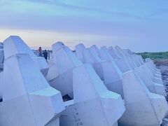 -南汇嘴观海公园