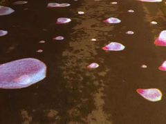 -美味居(古城店)