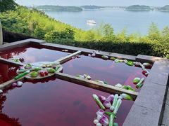 -天目湖涵田半山温泉