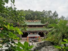 -神光山国家森林公园