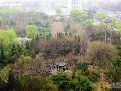 -紫竹院公园冰场