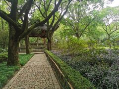 -汇龙潭