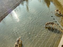 -太原动物园