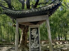 -兰亭风景区