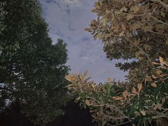 -上海市第一人民医院(松江南部)