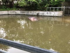 -宁波野生动物园