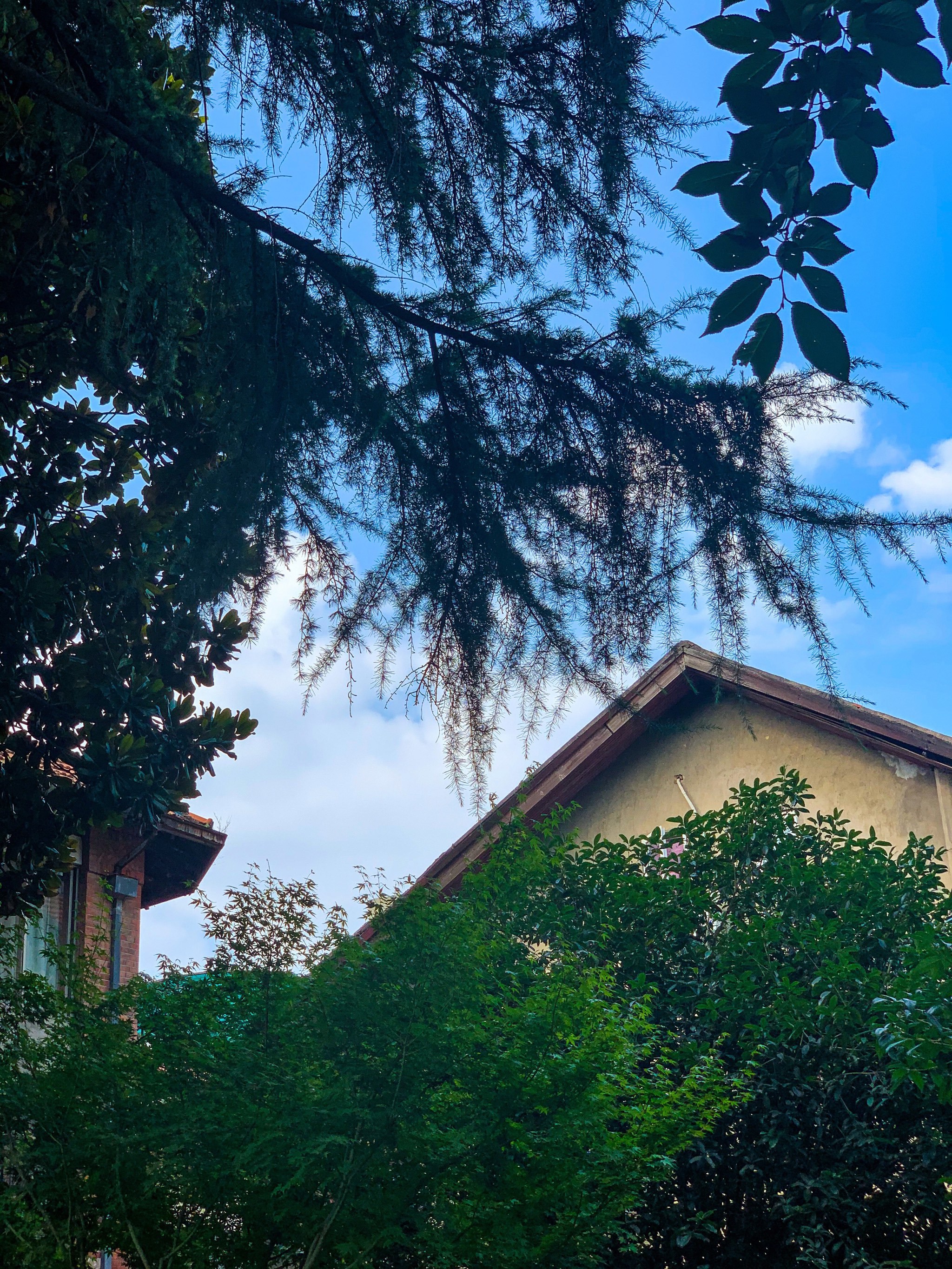 武汉老汉口核心区域,汉口历史风貌区