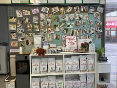 -爱妮康宠物医院·干细胞免疫细胞·肿瘤·心脏(张江店)