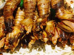 -盛港湾海鲜食府(黄沙店)