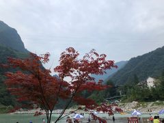 -虹口漂流
