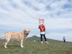 -乌兰布统草原