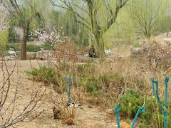 -北京西山国家森林公园