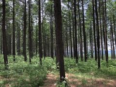 -鼎盛王朝康熙大典实景演出