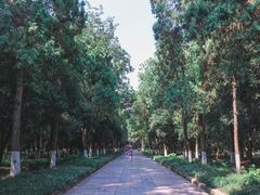 -灵谷景区