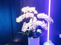 -逸馥荟(人广来福士店)
