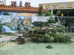 -洞背山庄(洞背院区式管理小区店)