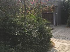 -仙海旅游度假区