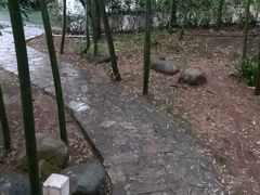 -故乡缘·香格里拉山庄(冷竹路店)