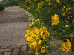 -九里河湿地公园