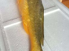 -宏源鑫海鲜餐厅·海景婚宴厅(石老人店)